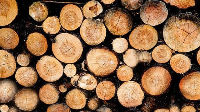 Apel w sprawie wprowadzenia zerowej stawki vat na drewno opałowe 