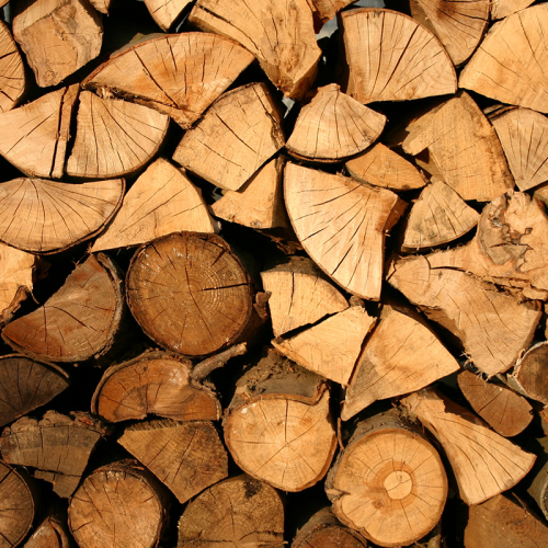 Jakim drewnem palić w kominku?